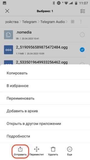 Как начать зарабатывать в Telegram: шаг за шагом руководство