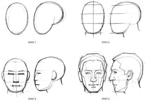 Как начать рисовать голову: основные шаги