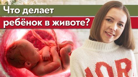 Как нащупать ребенка в животе