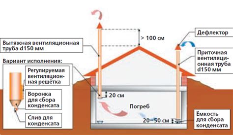 Как обеспечить вентиляцию и освещение в погребе