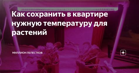 Как обеспечить нужную температуру в месте содержания