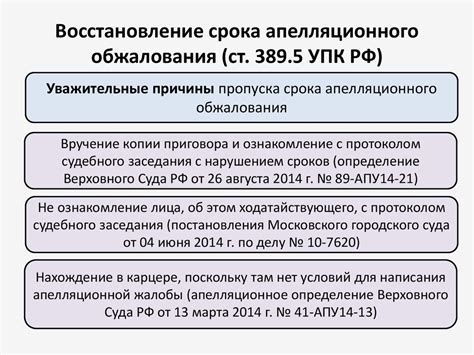 Как обжаловать приговор суда: инструкция