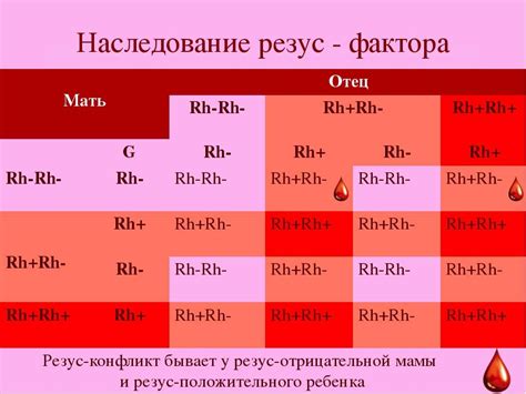 Как образуется резус-фактор у ребенка