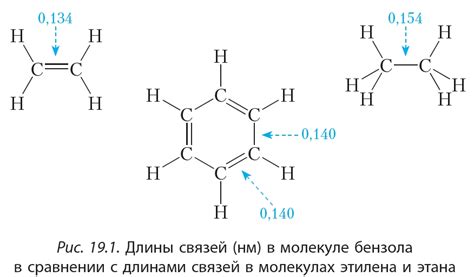 Как образуются ароматические молекулы в цветах?