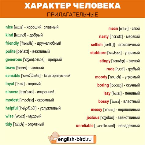 Как описать характер человека на английском: полезные слова и выражения