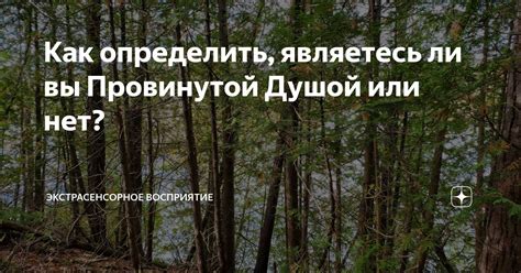 Как определить, являетесь ли вы нарциссом: основные признаки и распознавание