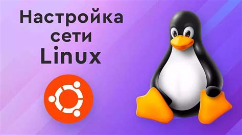 Как определить адрес сети в операционной системе Linux