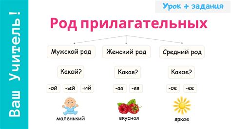 Как определить прилагательное