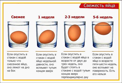 Как определить свежесть яйца в воде с солью