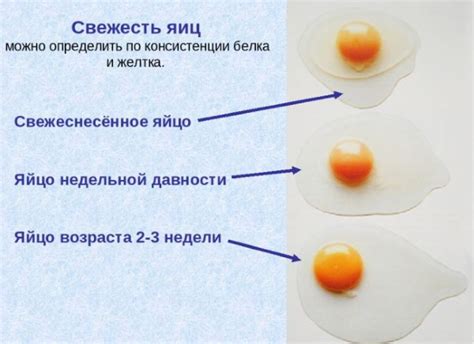 Как определить свежесть яйцa в воде? 5 методов