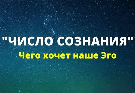 Как определить свое число сознания по сюцай