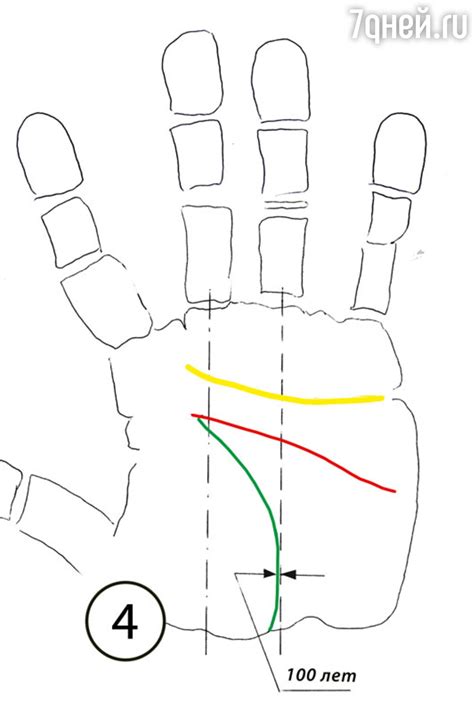 Как определить свой срок жизни по линиям на руке