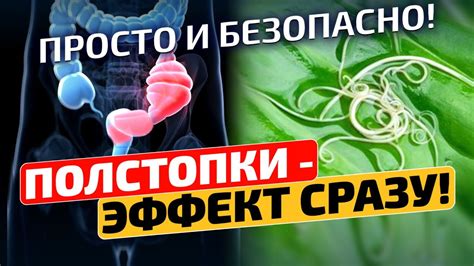 Как определить связь прыщей с глистами