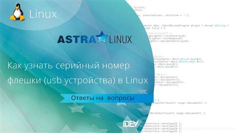 Как определить серийный номер флешки Linux