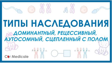 Как определить тип наследования: шаги и алгоритм