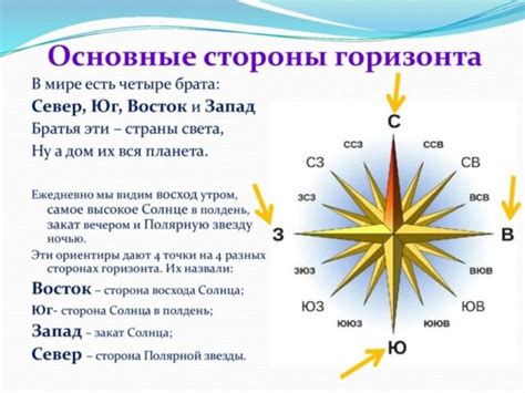 Как определить shoparticleid: лучшие способы использования