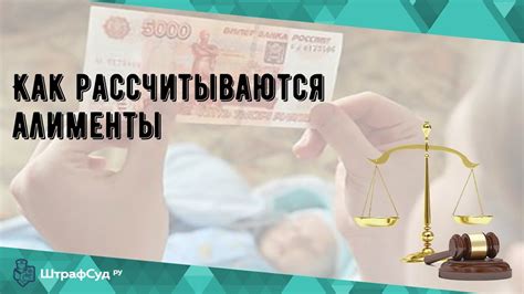 Как оптимально оформить многодетку: советы и инструкции