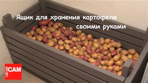 Как организовать гурток для картошки хранения: советы и способы