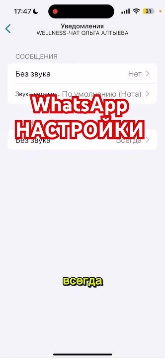 Как отключить автозагрузку WhatsApp на iOS