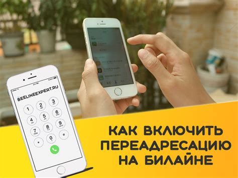 Как отключить переадресацию на Билайне 89037430045