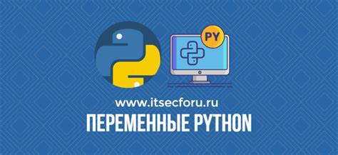 Как открыть файл в Python и получить доступ к его содержимому