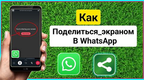 Как открыть чат и поделиться записью экрана в WhatsApp