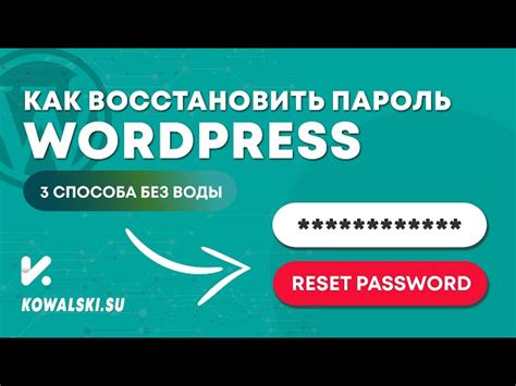 Как очистить WordPress до нуля: подробная инструкция