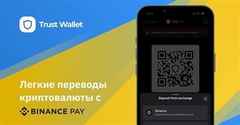 Как перевести BNB с Trust Wallet на Binance