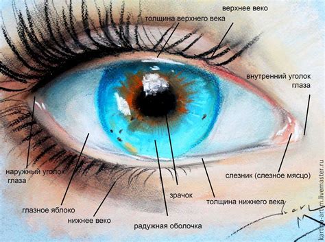 Как передать выражение глаза на рисунке