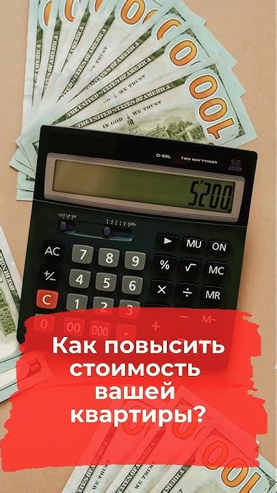 Как повысить стоимость недвижимости благодаря очистке экватора перед продажей