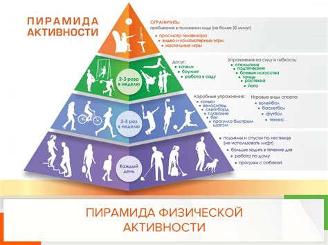 Как поддерживать организм в тонусе: физическая активность и здоровое питание