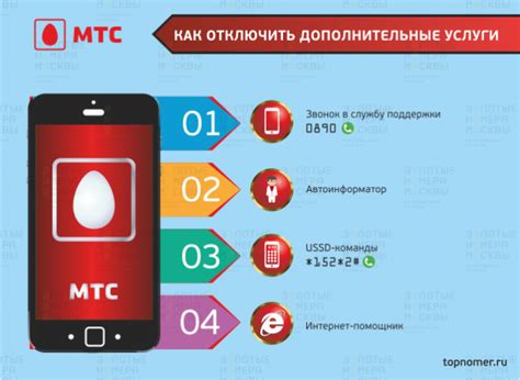 Как подключить информационно-мультимедийные услуги МТС