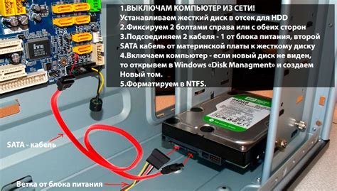 Как подключить компаньона РДР 2: простая инструкция по настройке