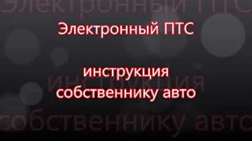 Как показать СТС электронно: основные требования