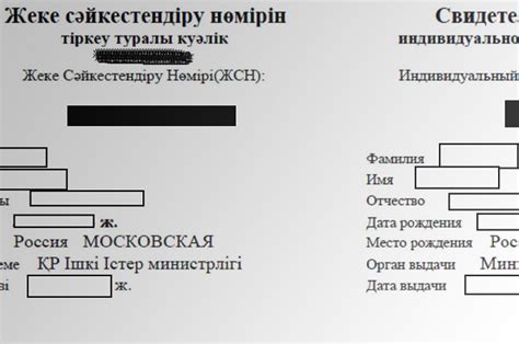 Как получить БИН код в Казахстане