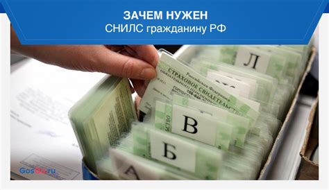 Как получить СНИЛС на ребенка: список документов и шаги процедуры