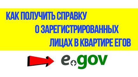 Как получить информацию о зарегистрированных номерах на паспорт Билайн онлайн