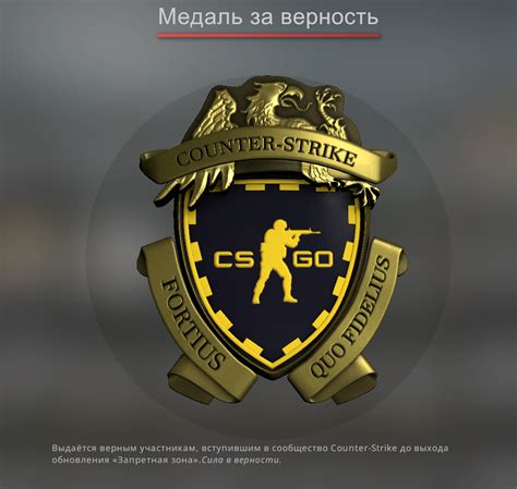 Как получить медаль за службу в CS GO