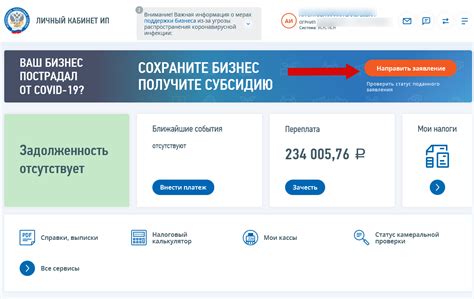 Как получить субсидию для ИП в 2022 году