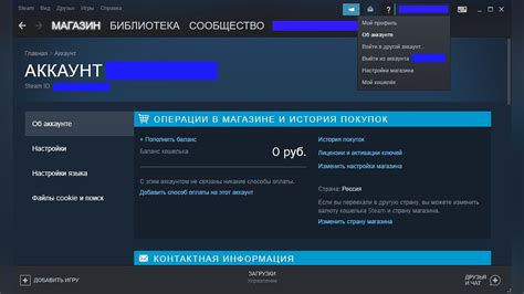 Как пополнить баланс лир в Steam