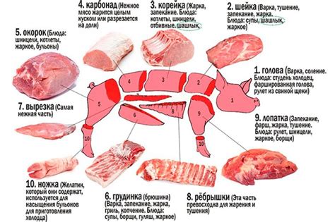 Как правильно выбрать свиную шею