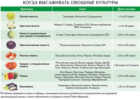 Как правильно выбрать семена для посадки