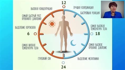 Как правильно настраивать свои биоритмы для улучшения сна