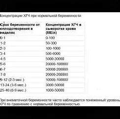 Как правильно настроить ХГЧ для новичков: пошаговая инструкция