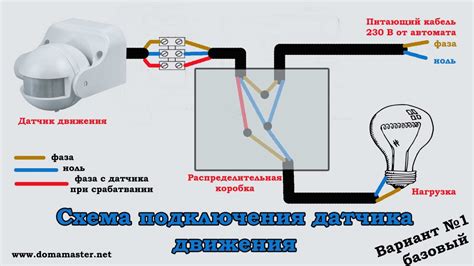 Как правильно настроить датчик включения света: полезные советы