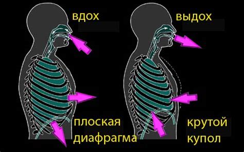 Как правильно настроить дыхание