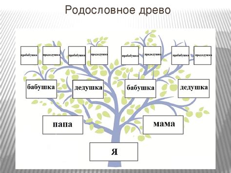 Как правильно начать создание родословной