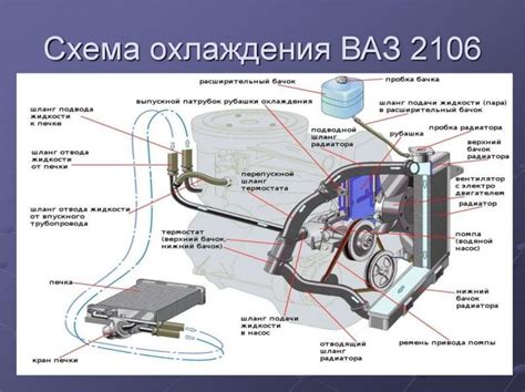 Как правильно обслуживать смазочную систему Lexus