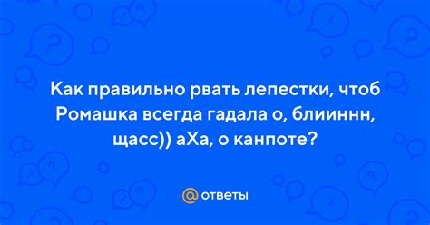 Как правильно перевести "ромашка": примеры