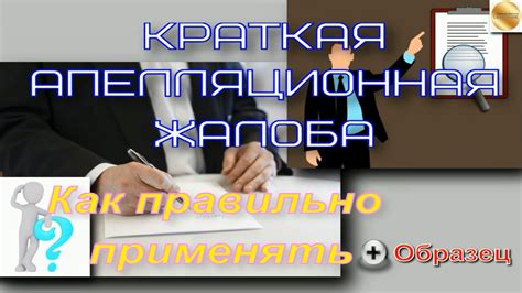 Как правильно подать апелляционную жалобу